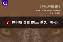 野心的深度思考—由P圈引申出来的值得探讨的品质之野心