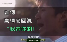 怎么高情商回复我养你-全实例经典回复 妙到巅毫